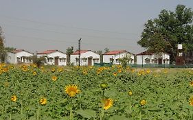 Living Green Farms